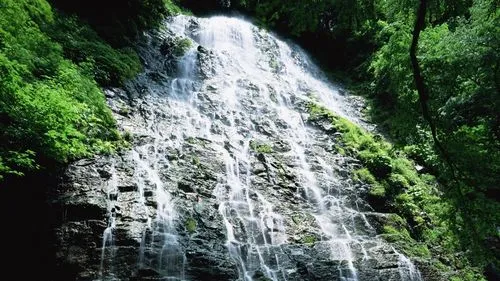 电子高精度绿色